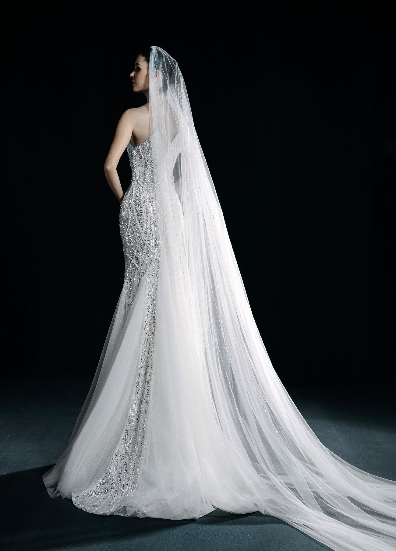 The Moonlight Bride