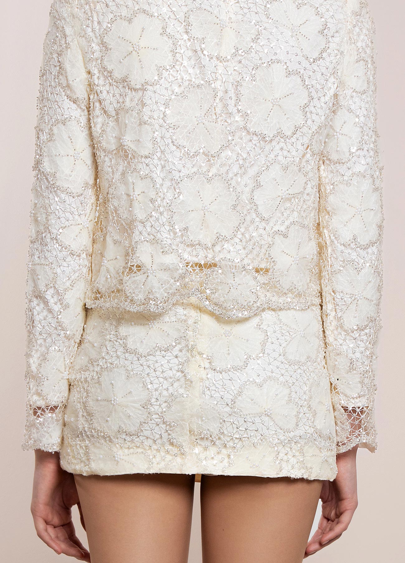 Embroidered Metallic Skirt