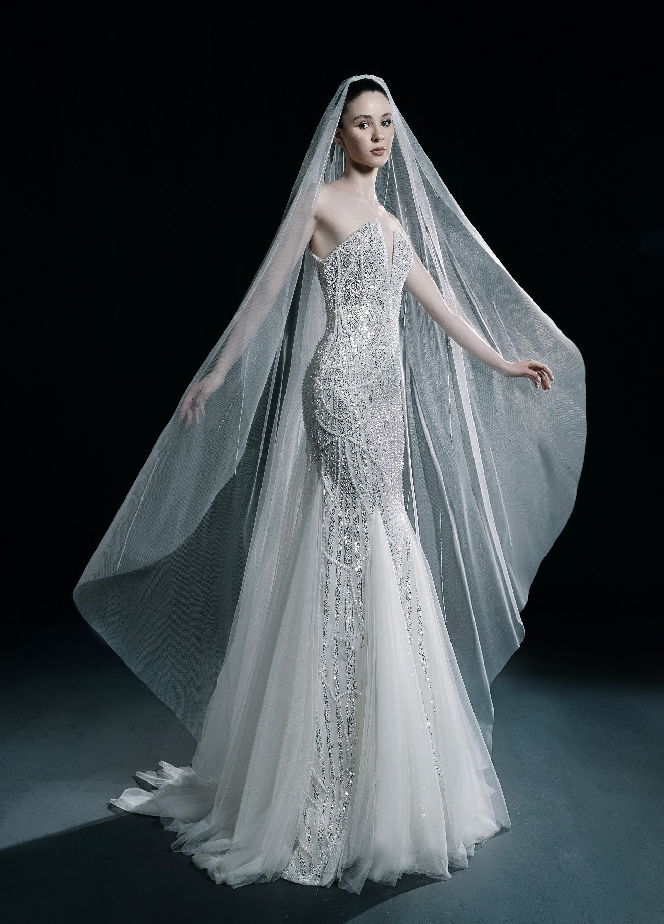 The Moonlight Bride