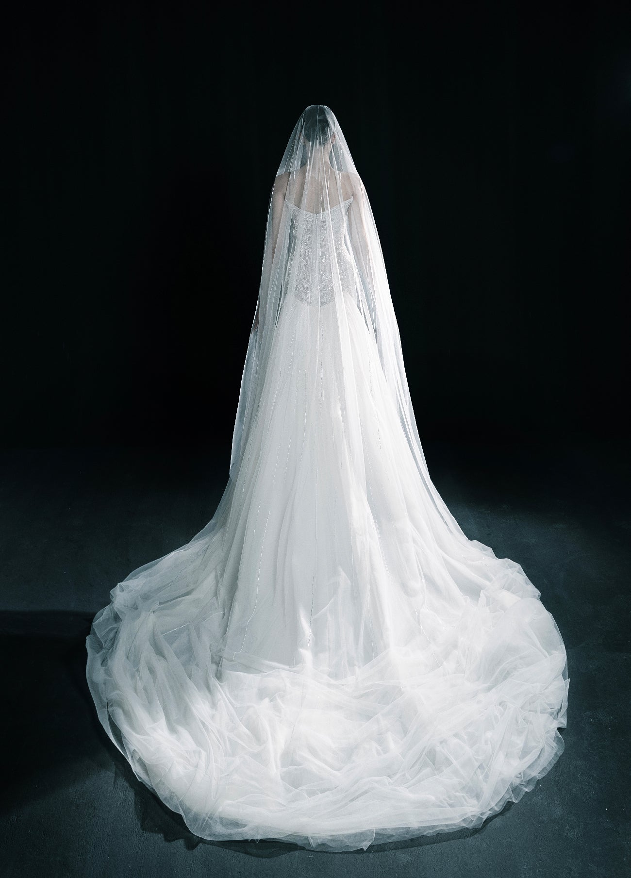 The Starlight Bride