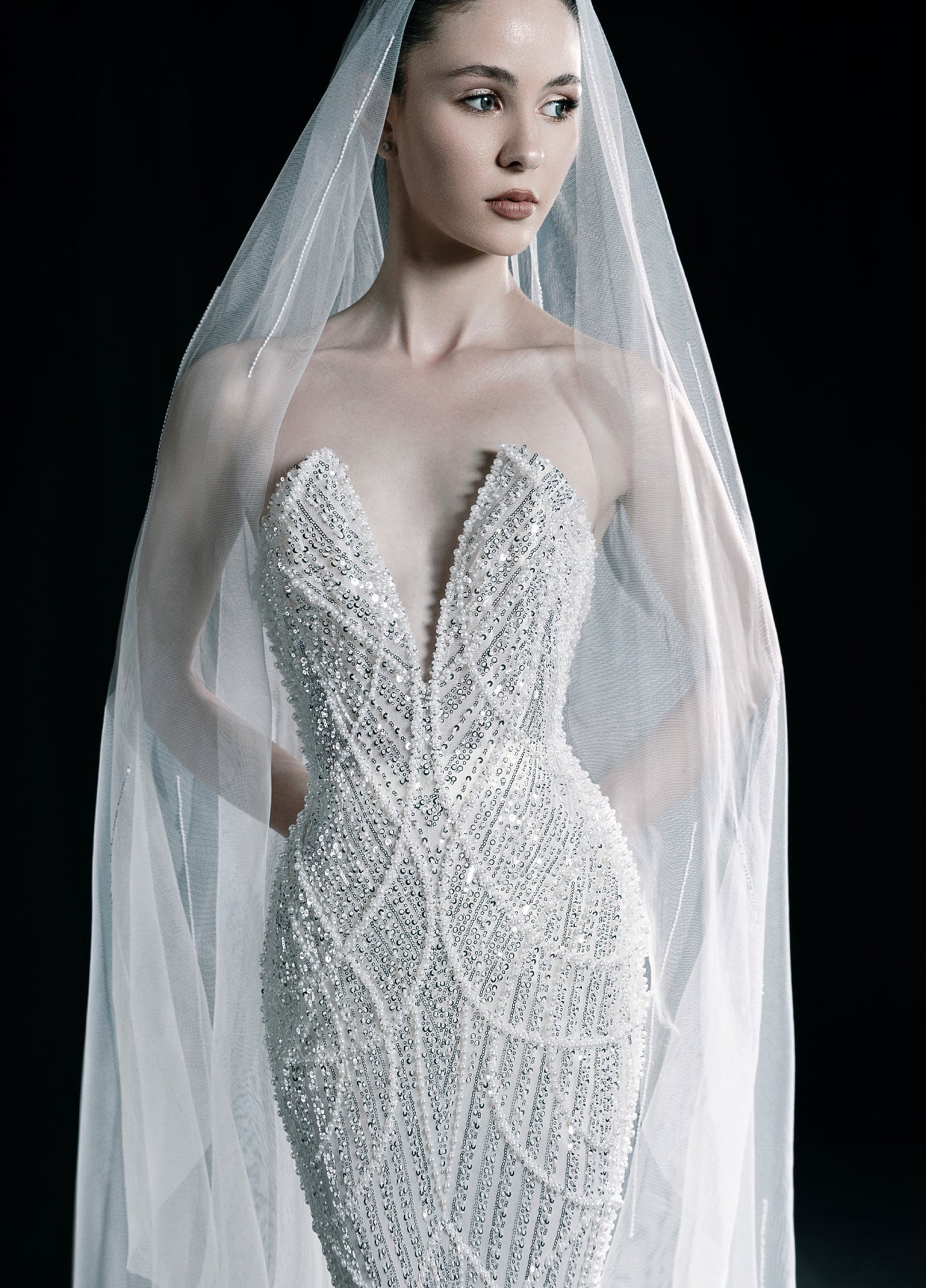 The Moonlight Bride